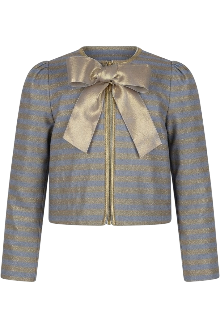 Denim and gold striped blazer with gold bow - product view
