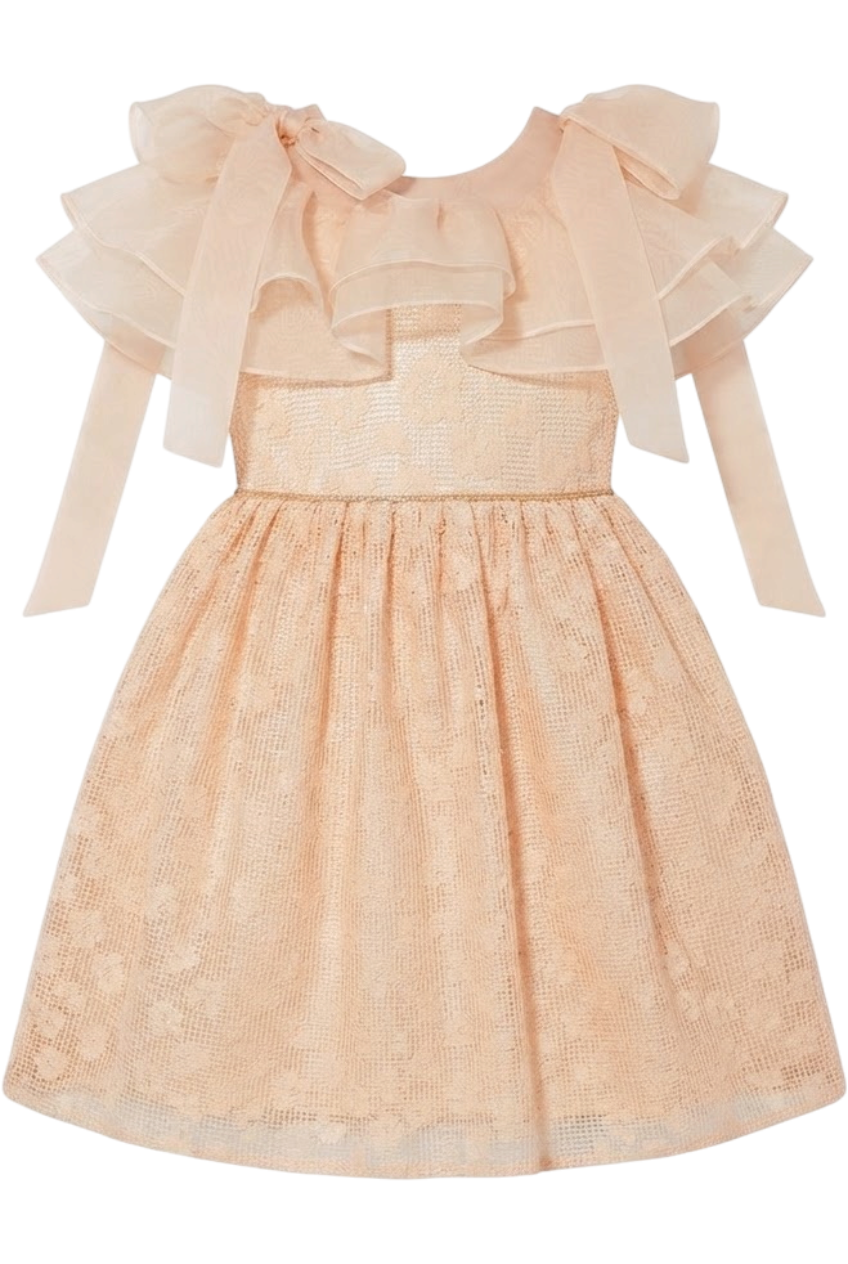 Peach floral lace dress with organza frills and shoulder bows - product view