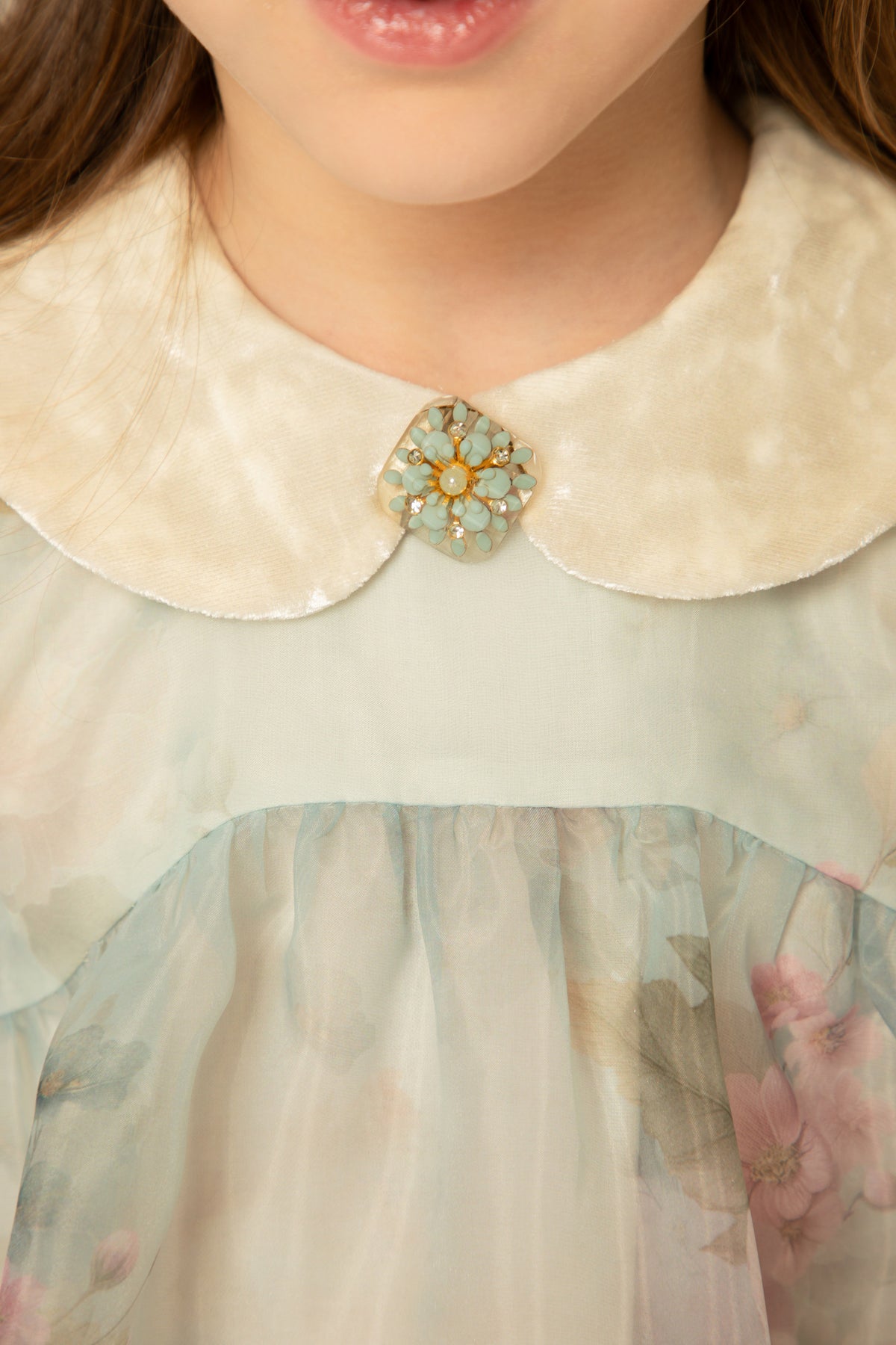 Detail of the velvet collar and decorative brooch