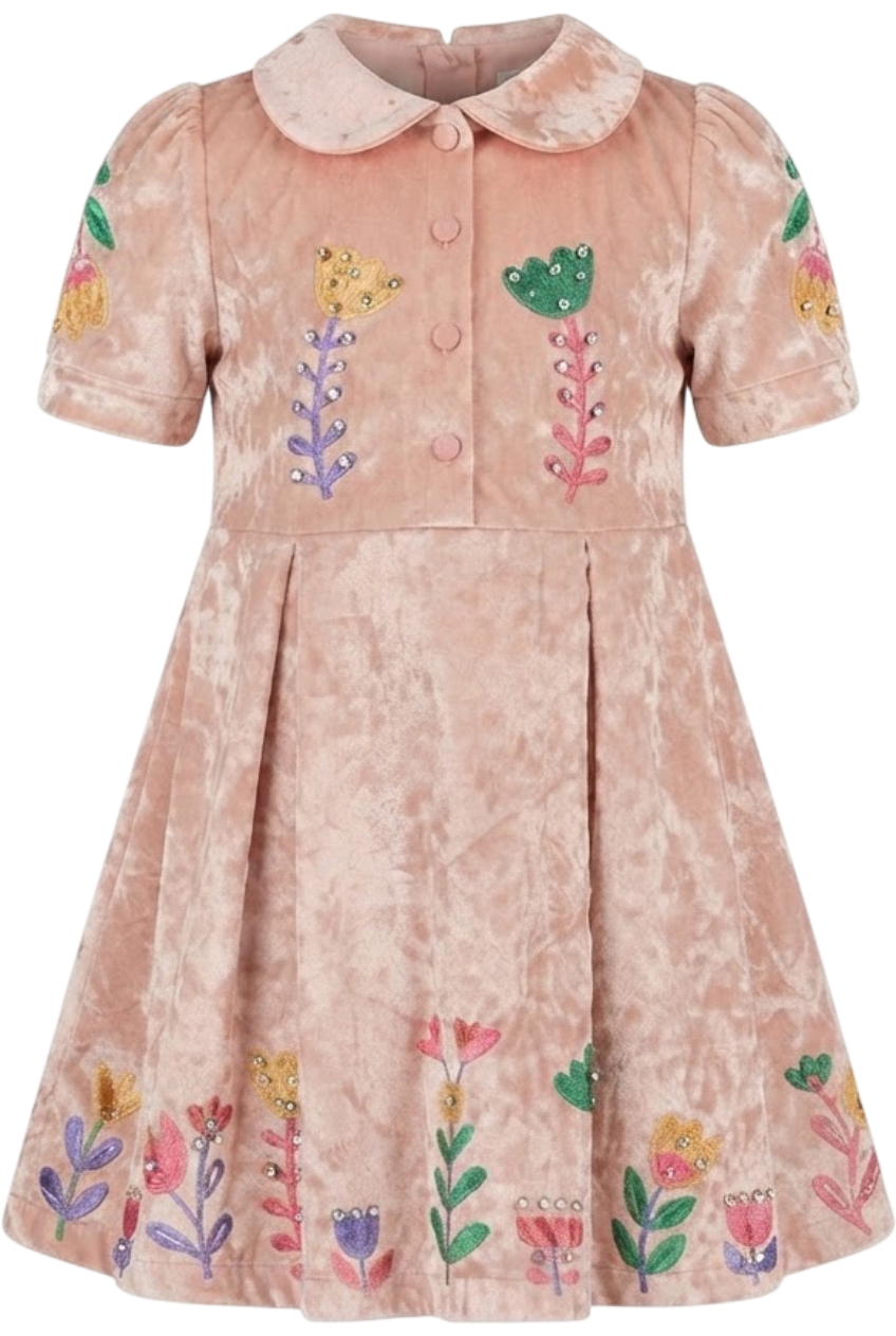 Light pink velvet dress with floral print and crystals embellishments - product view