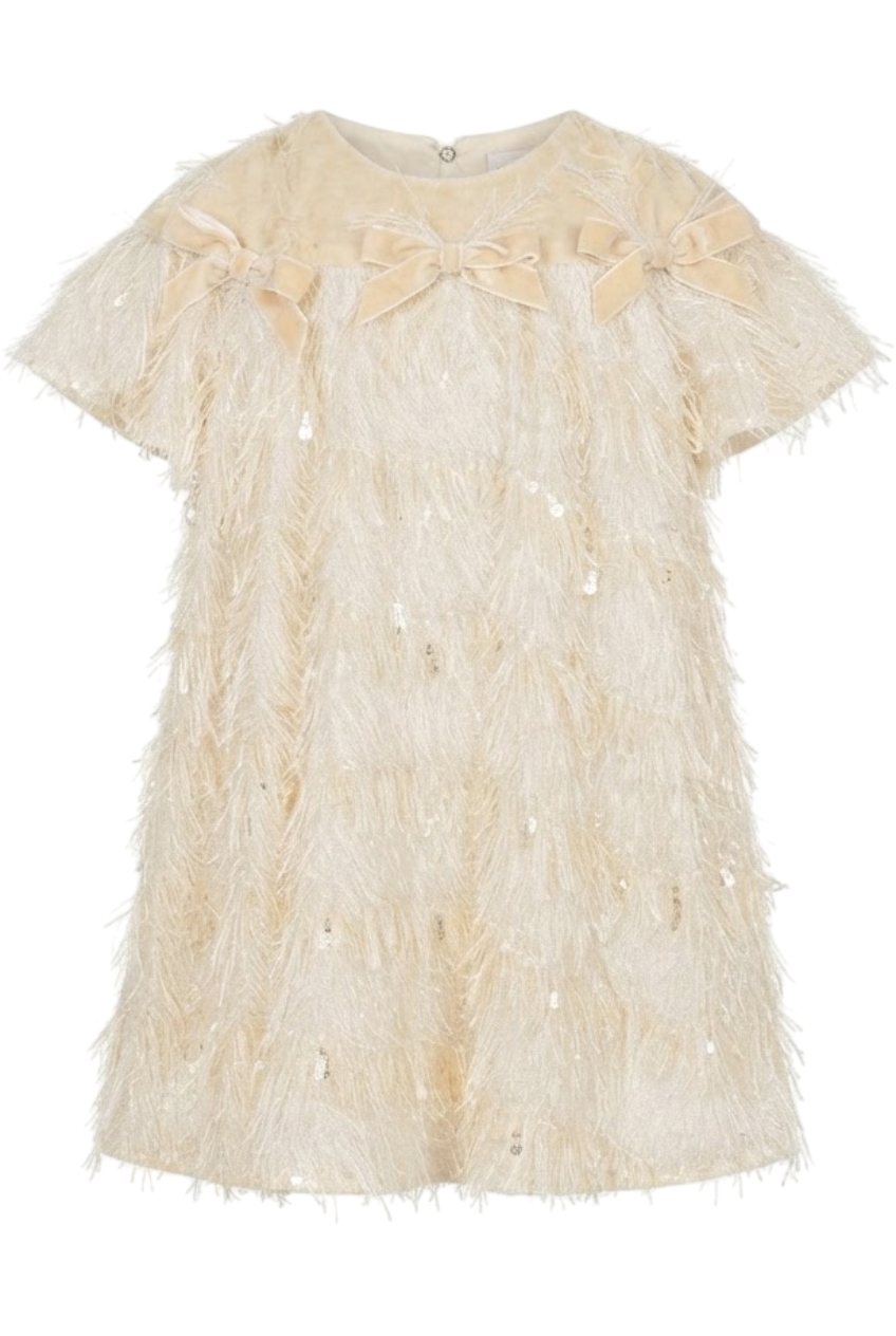 Ivory fringed dress with soft shimmer and velvet bows - product view