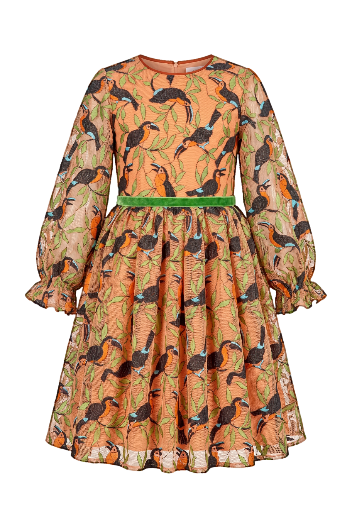 Parrots emroidered lace dress with voluminous sleeves - product view