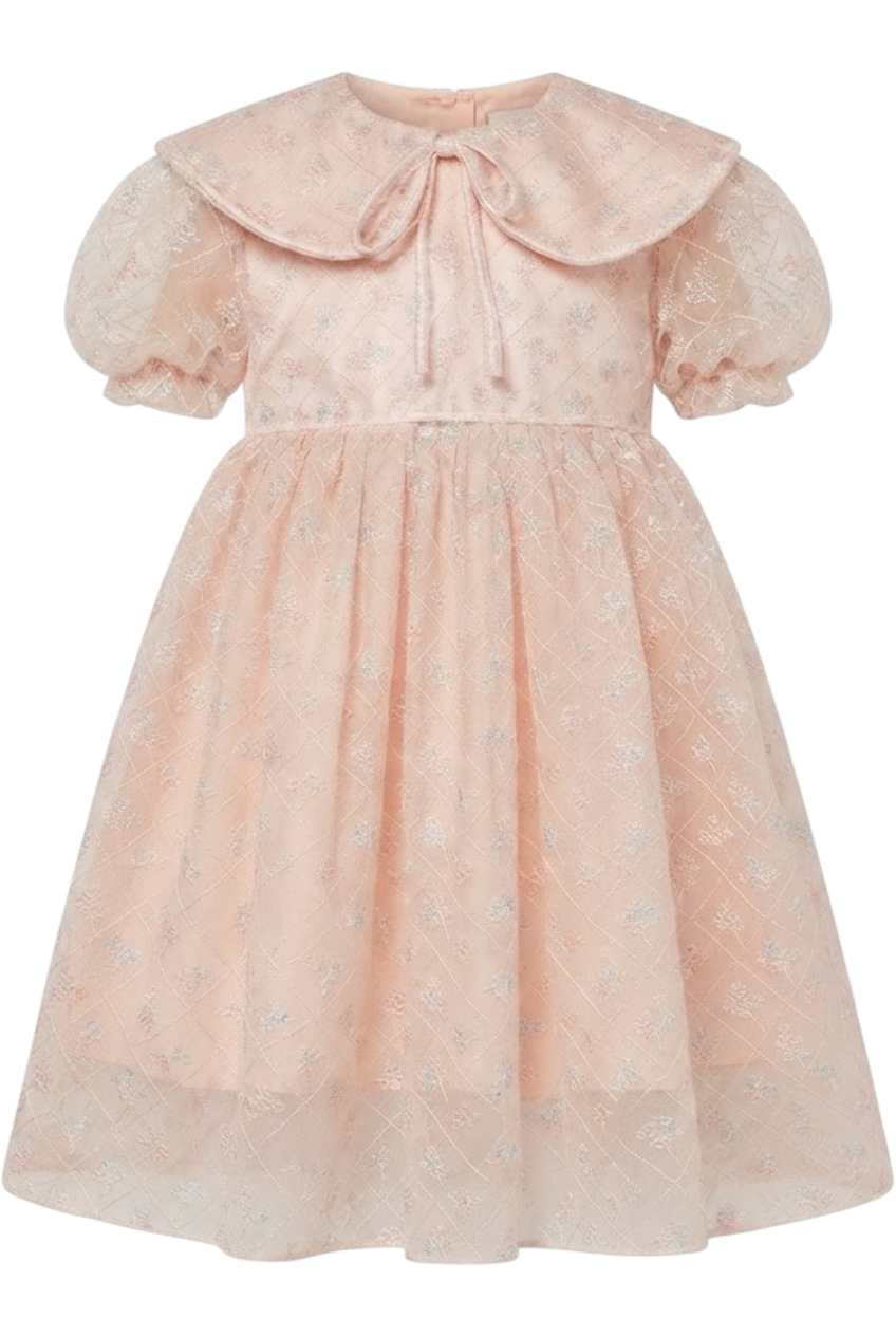 Peach micro flowers emroidered lace dress with pretty collar - product view