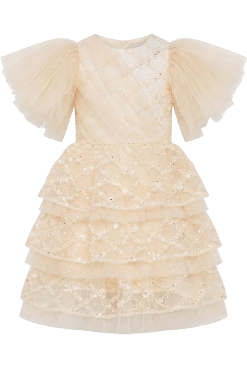 Ivory tulle layered dress with tulle front detail and tulle sleeves - product view