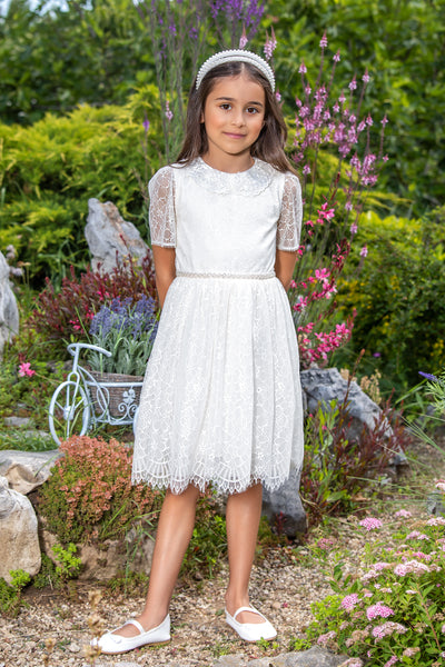 Ivory fine lace dress with pearls and organza collar