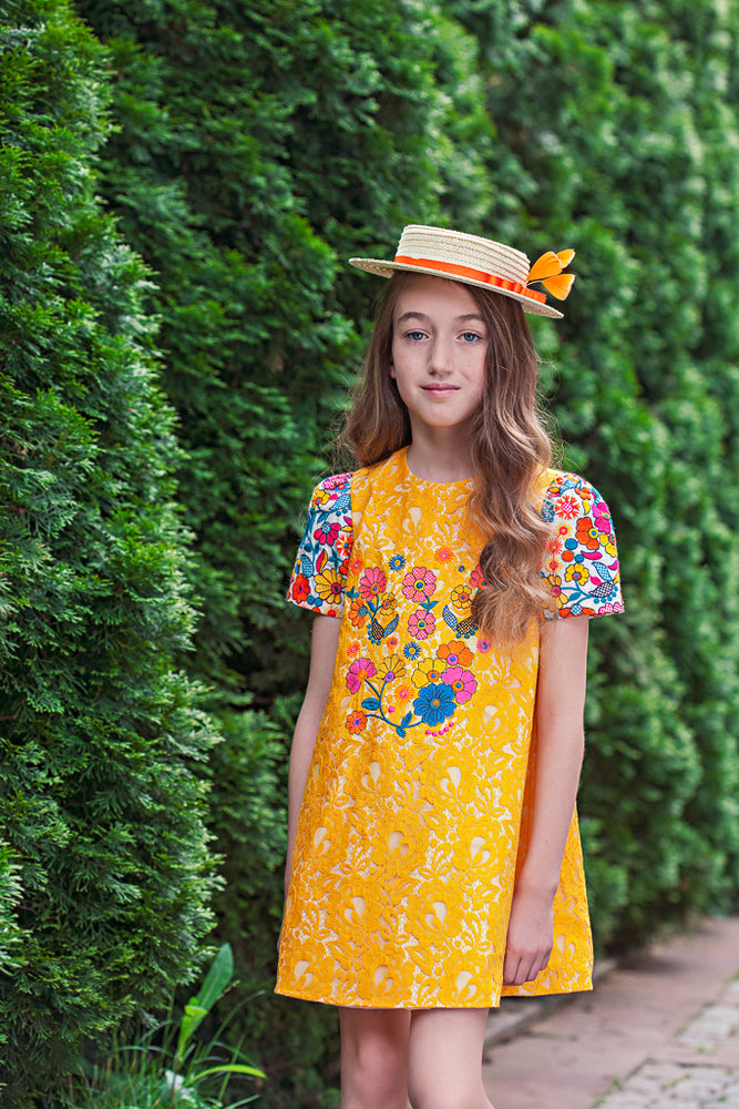 Embroidered cotton floral A-line dress